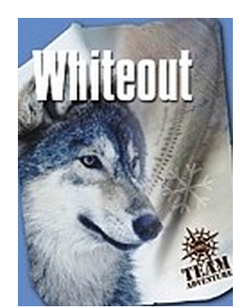 Whiteout - Facilitator Set